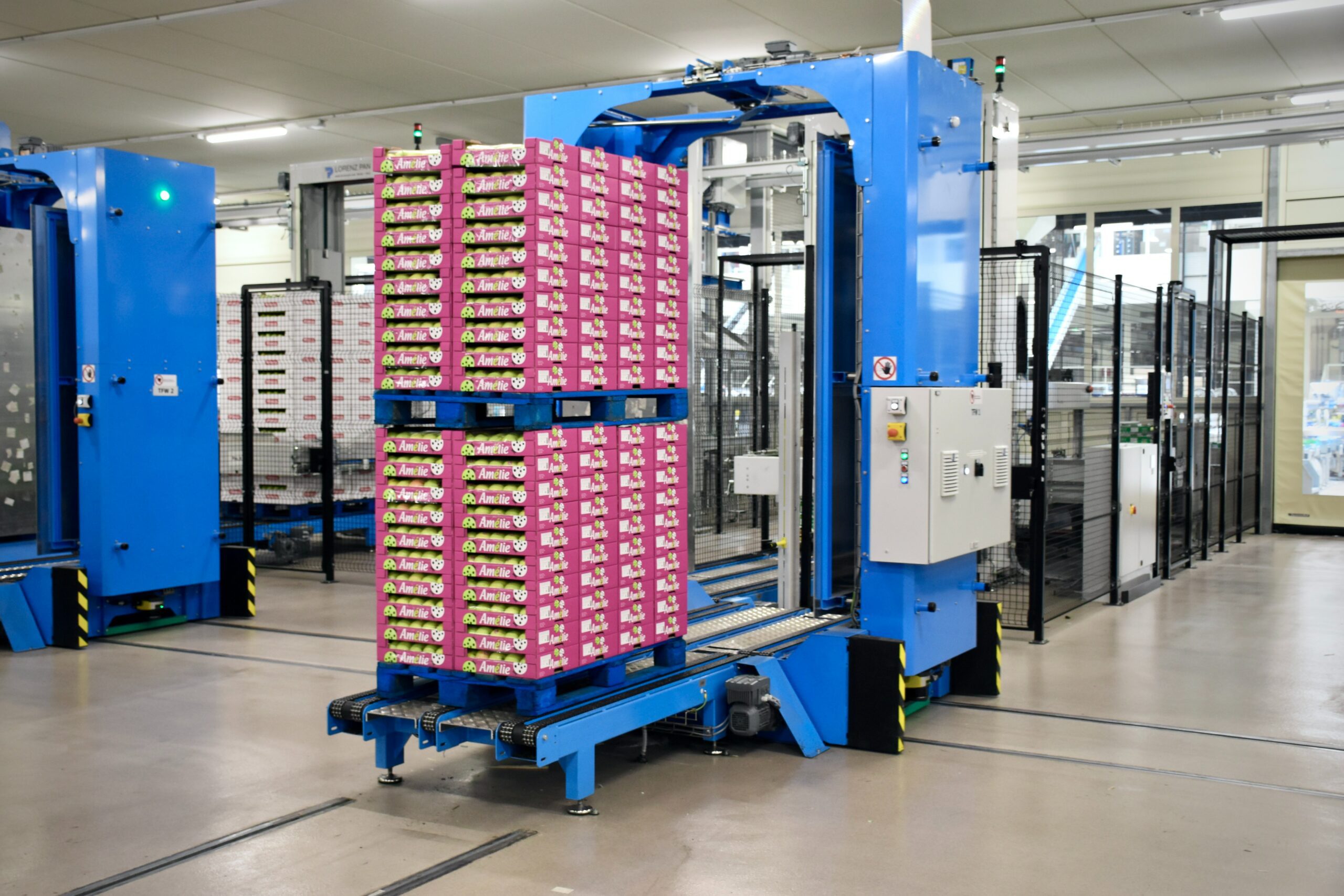 Mastering E-commerce Logistics: The Power of Specialized 3PL